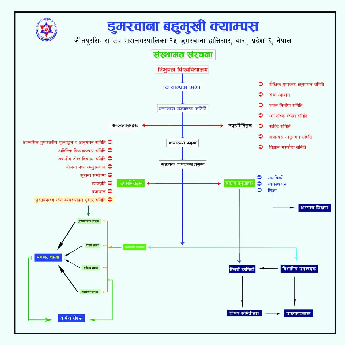 Organizational Structure Image